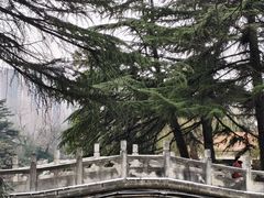-西苑公园