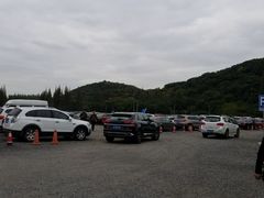 -上海佘山国家森林公园东门地面停车场