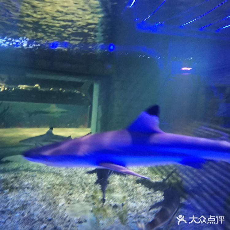 闲暇周末/欢乐海底世界