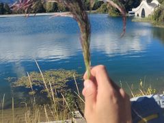 -清溪水库
