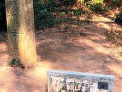 -广州市白云山风景名胜区
