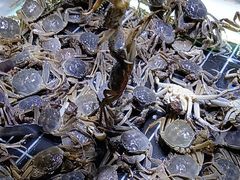 -聚盛源蒸汽海鲜火锅烤肉自助(巨川金海岸购物广场店)