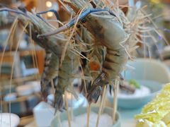 -阿杜打边炉(五江天街店)