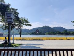 -顺峰山公园