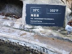 -海口观澜湖火山温泉谷