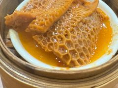 萝卜金钱肚-添运来(茶园奥园广场店)