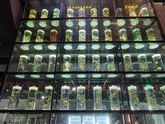 -广东中医药博物馆