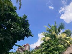 -三亚湾海居铂尔曼度假酒店