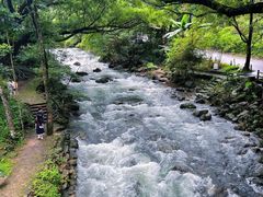 -广州市石门国家森林公园