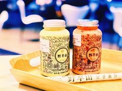 -野萃山·潮汕厚果汁(十亩地店)