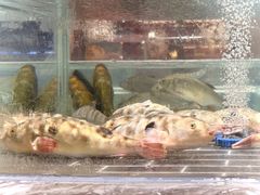 -大潮淮·淮扬菜(何园旗舰店)