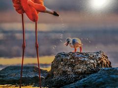 -罗红摄影艺术馆