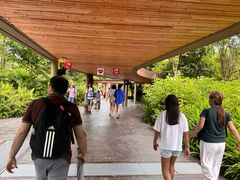 -新加坡飞禽公园