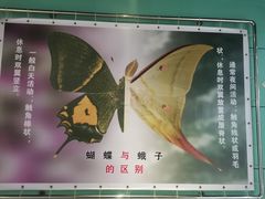 -上海昆虫博物馆