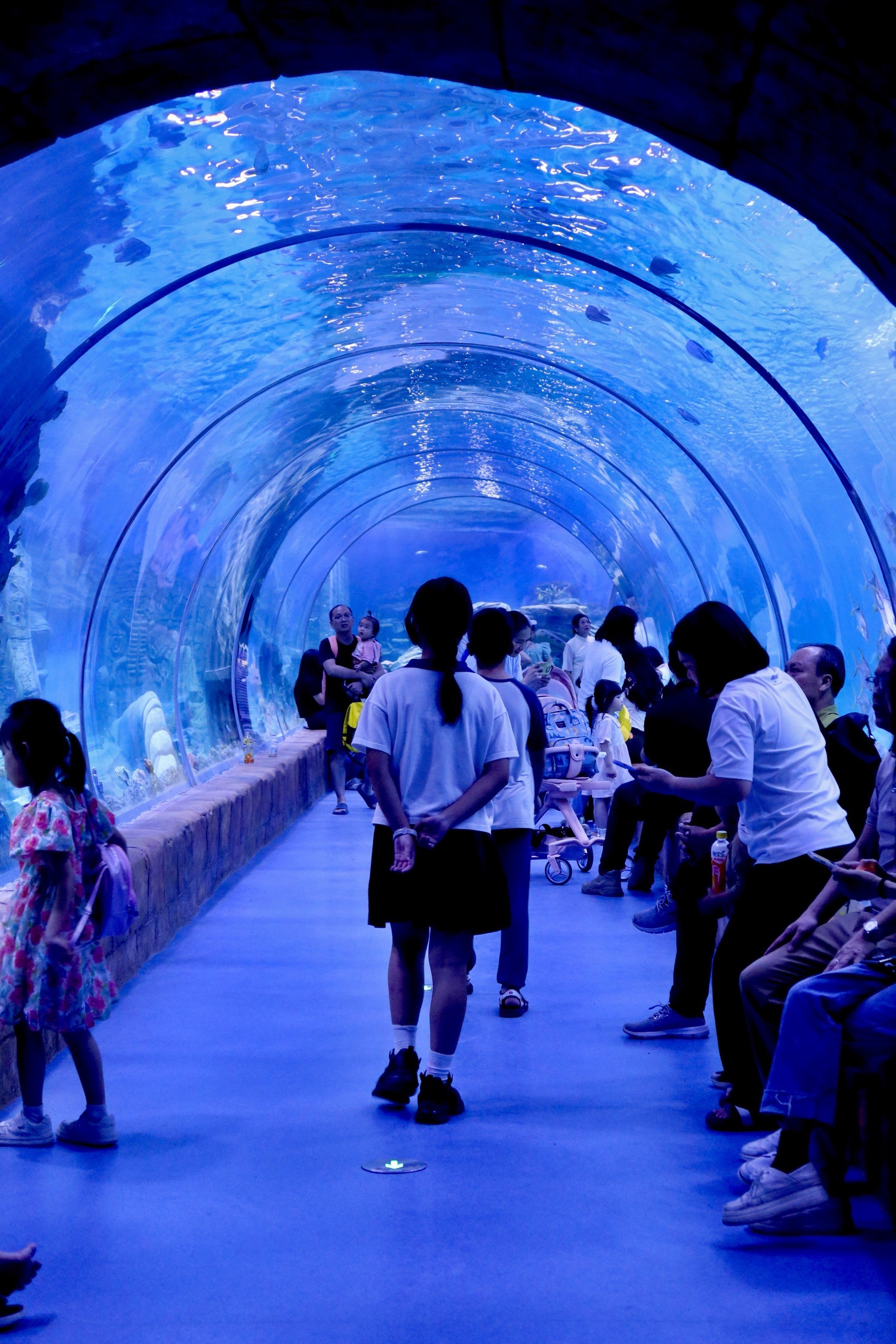 南海也有海洋公园啦!