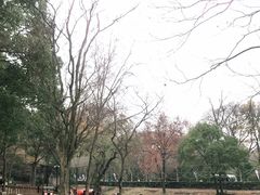 -WeLope紫金山探险公园