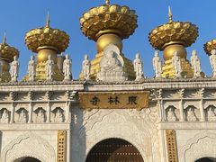 -上海东林寺(金山区)