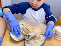 -斯坦星球AI编程·机器人科创·科学实验·信奥·思维·STEM·乐高·竞赛考级(长宁虹桥大融城荟聚中心)