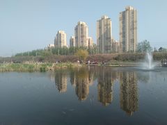 -前关湿地公园