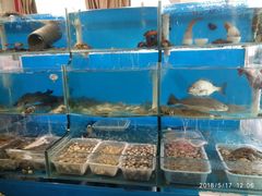 -大城·烧烤海鲜大排档(台东店)