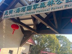 -上海海湾国家森林公园