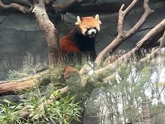 -武汉动物园