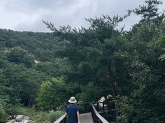 -无染寺