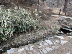 -香山公园