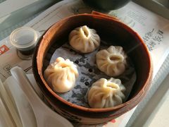 -东方既白(上海浦东国际机场)