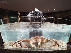 -顺风山庄(水濂山店)