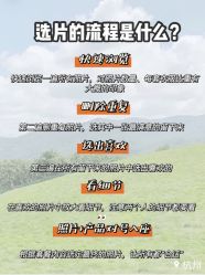 -金夫人婚纱摄影