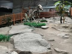 -中国第四纪冰川遗迹陈列馆