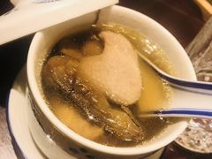 -椿不老