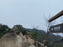 -大岭沟猕猴桃谷风景区