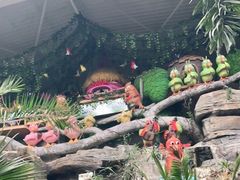 -南宫五洲植物乐园