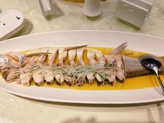 -金枝玉叶上海人家食府(三里河店)