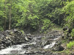 -凤凰山国家森林公园