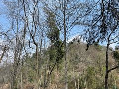 -青龙山国家森林公园