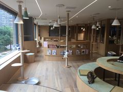 -CAT’S MEWSTAR CAFE·喵星球猫屋(晴湾咖啡店)