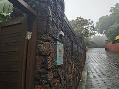 -三亚亚龙湾人间天堂鸟巢度假村