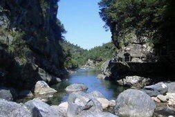 -祁门牯牛降观音堂风景区