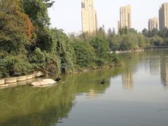 -南昌动物园