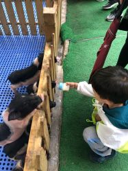 -萌宠亲子动物乐园(槐房万达店)