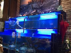 新鲜鱼缸-姜君·千岛湖鱼头馆(浦东大道店)