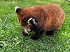 -水上乐园·欢乐世界