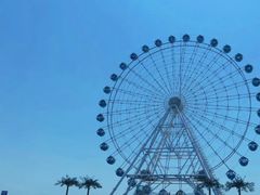 -秦皇岛乐岛海洋王国