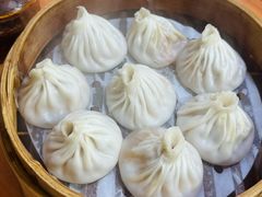 -莱莱小笼·乔艾