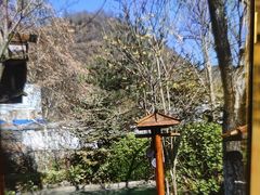 -麦积山温泉