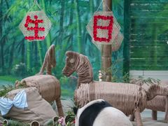 -灵玲国际马戏城