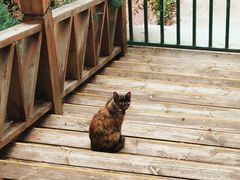 -长辛店二七公园